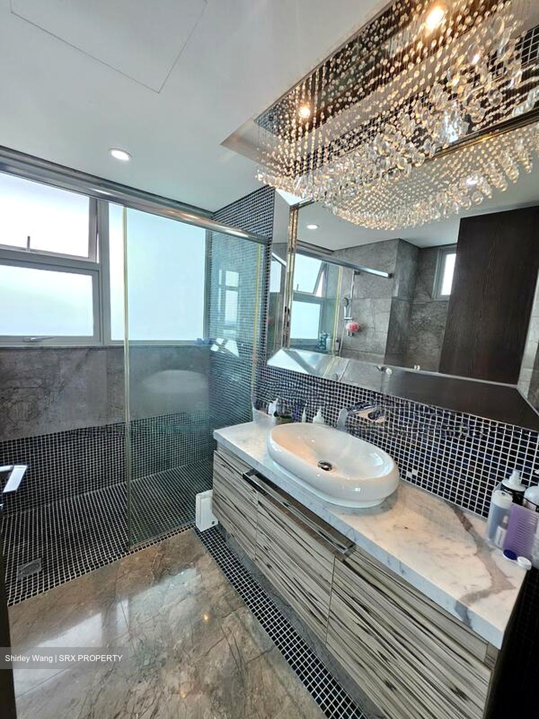 The Vision (D5), Condominium #482756221